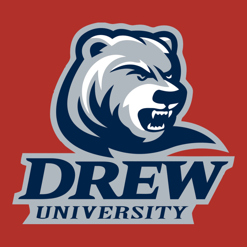 Drew University Premium Hoodie by artisFamous | Teevron