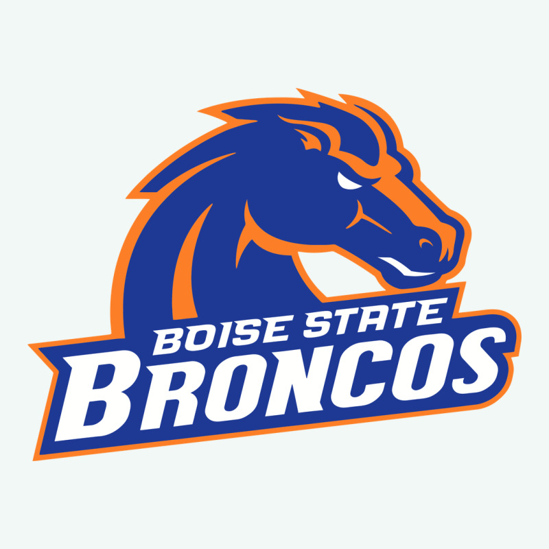Boise Design Premium Hoodie by artisFamous | Teevron