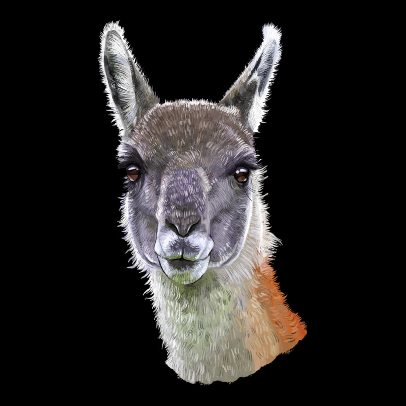 Guanaco Llama Head Ladies Tee by LillyAllenDesigns | Teevron