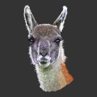 Guanaco Llama Head | Teevron