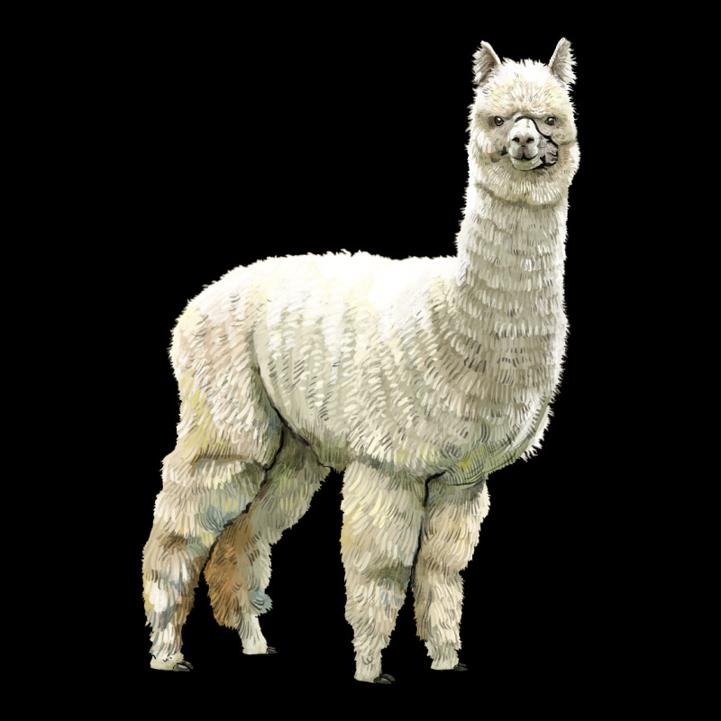 Alpaca Ladies Tee by LillyAllenDesigns | Teevron