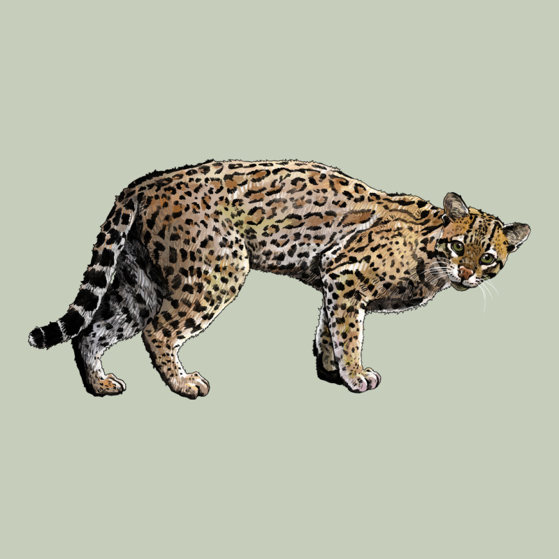 Ocelot Ladies Tee by LillyAllenDesigns | Teevron