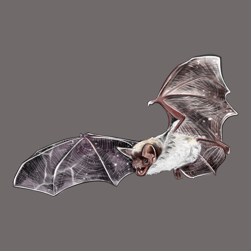 Mexican Free Tailed Bat Urban Heavy Tee by LillyAllenDesigns | Teevron