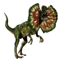 Dilophosaurus | Teevron