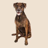 Plott Hound Urban Heavy Tee | Teevron
