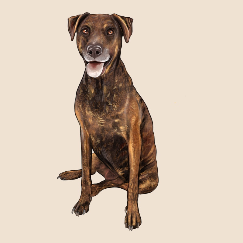 Plott Hound Urban Heavy Tee by LillyAllenDesigns | Teevron