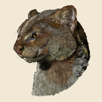 Jaguarundi Head Ladies Tee | Teevron