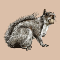 Gray Squirrel Urban Heavy Tee | Teevron