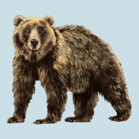 Brown Bear Ladies Tee | Teevron
