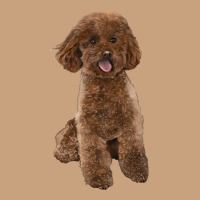 Poodles Dog Lllustrations Vintage Tee | Teevron