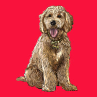 Goldendoodle Classic Tee | Teevron