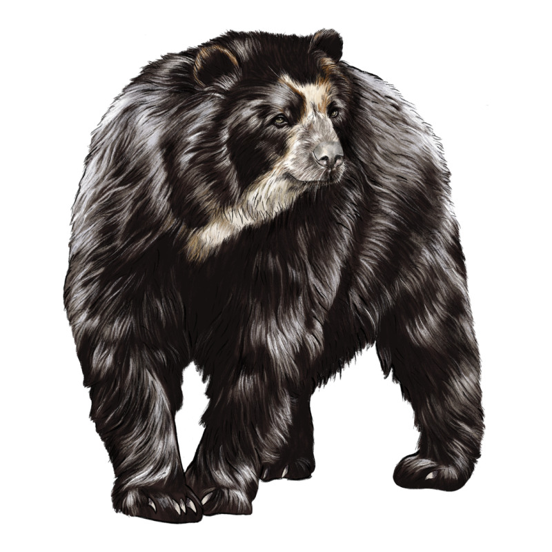 Spectacled Bear Ladies Tee by LillyAllenDesigns | Teevron