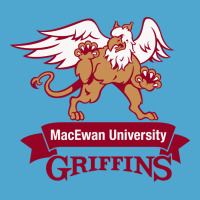 Macewan Academic Premium Hoodie | Teevron