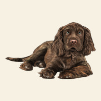 Sussex Spaniels Llustrations Vintage Tee | Teevron