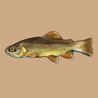 Arizona Apache Trout Fish Vintage Hoodie | Teevron