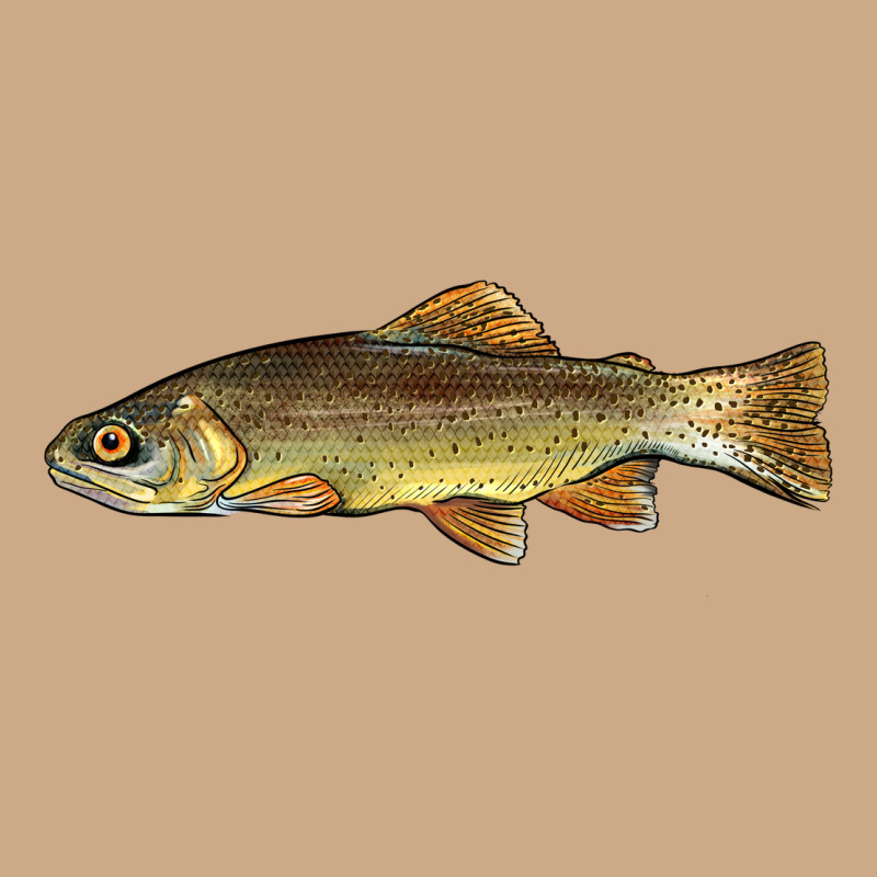 Arizona Apache Trout Fish Vintage Hoodie by BarkalooDesign | Teevron