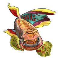 Killifish Ladies Tee | Teevron