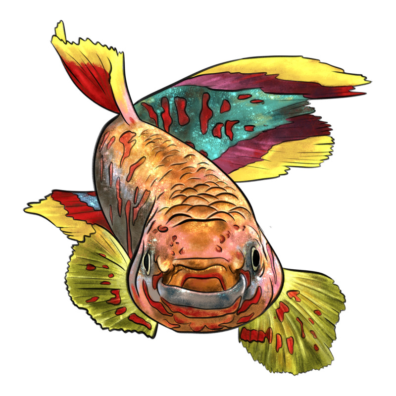 Killifish Ladies Tee by LillyAllenDesigns | Teevron