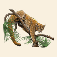 Florida Panther Vintage Hoodie | Teevron