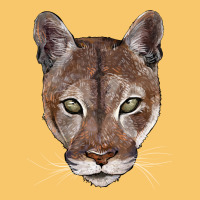 Florida Panther  Face Vintage Hoodie | Teevron