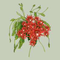 Red Orchid Cactus Ladies Tee | Teevron