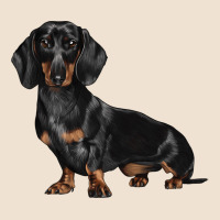 Dachshund Dog Illustrations Urban Heavy Tee | Teevron