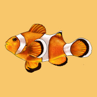 Clown Fish Side Vintage Hoodie | Teevron