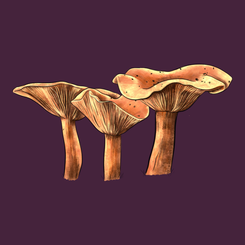 Lactarius Rufus Mushroom Illustrations Premium Tee by LillyAllenDesigns | Teevron