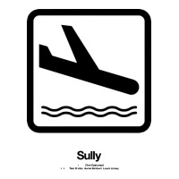 Sully Movie Silhouette Premium Hoodie | Teevron