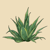 Cactus Premium Hoodie | Teevron