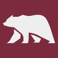 Bear Premium Hoodie | Teevron