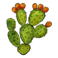 cactus | Teevron