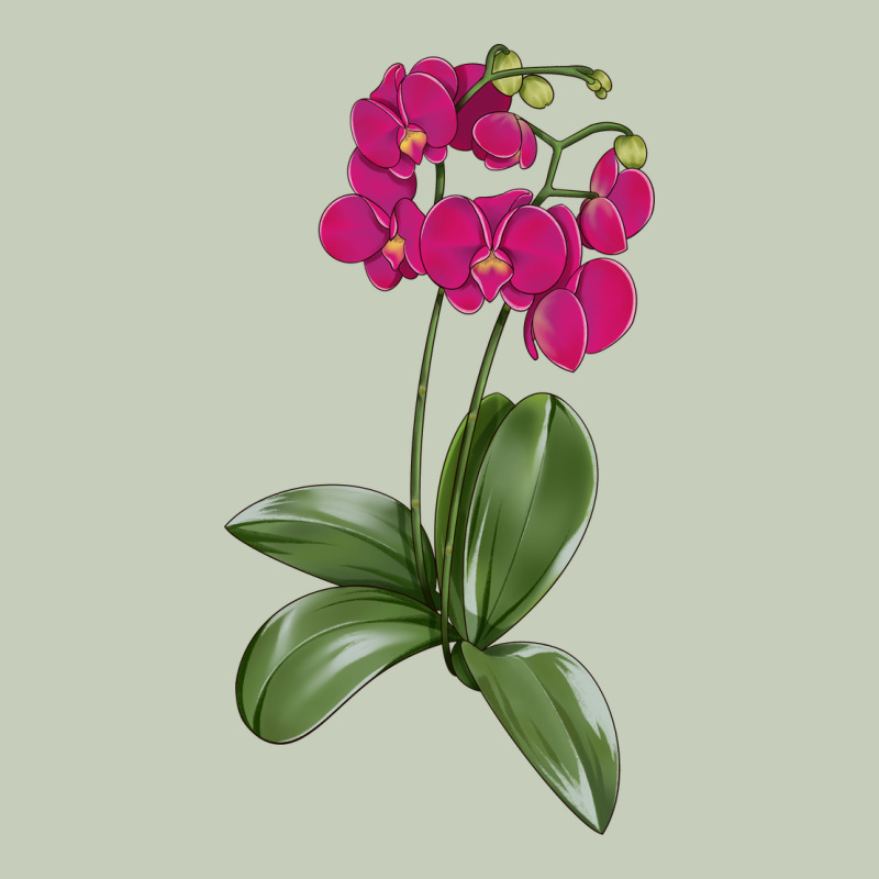 Moth Orchid Ladies Tee by LillyAllenDesigns | Teevron
