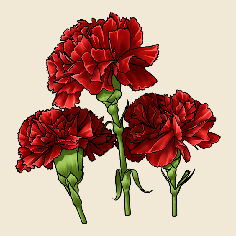 Scarlet Red Carnation Illustrations Ladies Tee by LillyAllenDesigns | Teevron