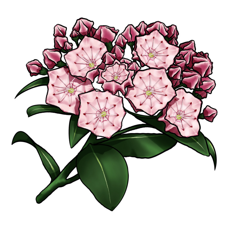 Mountain Laurel Flower Illustrations Ladies Tee by LillyAllenDesigns | Teevron