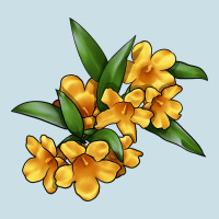 Yellow Jessamine Flower Illustrations Ladies Tee | Teevron