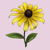 Black Eyed Susan Flower Illustrations Ladies Tee | Teevron
