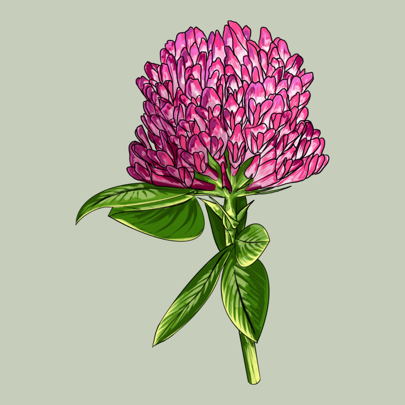 Red Clover Illustrations Ladies Tee by LillyAllenDesigns | Teevron