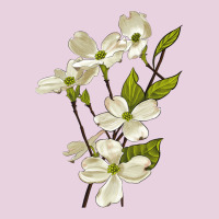 American Dogwood Flower Illustrations Ladies Tee | Teevron