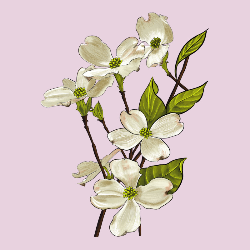 American Dogwood Flower Illustrations Ladies Tee by LillyAllenDesigns | Teevron