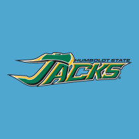 Hsu Jacks Premium Hoodie | Teevron