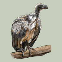 Vulture Bird Ladies Tee | Teevron