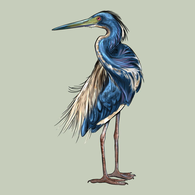 Louisiana Heron Ladies Tee by LillyAllenDesigns | Teevron