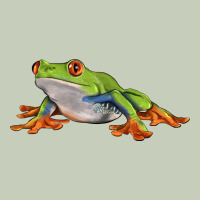 Red Eyed Tree Frog Ladies Tee | Teevron