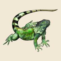 İguana Ladies Tee | Teevron