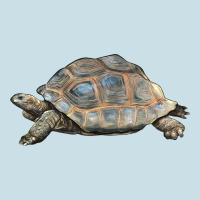 Tortoise Illustrations Ladies Tee | Teevron