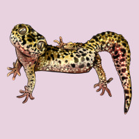 Gecko Lizard Illustrations Ladies Tee | Teevron