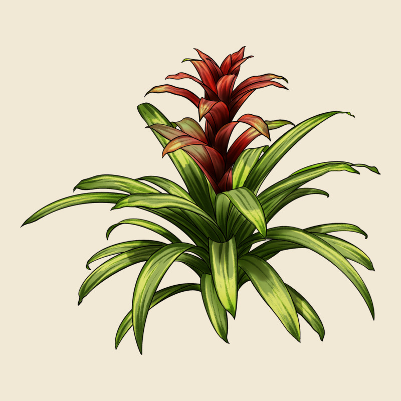 Bromeliads Premium Tee by LillyAllenDesigns | Teevron