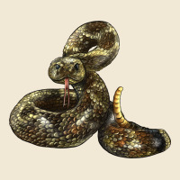 Rattlesnake Ladies Tee | Teevron