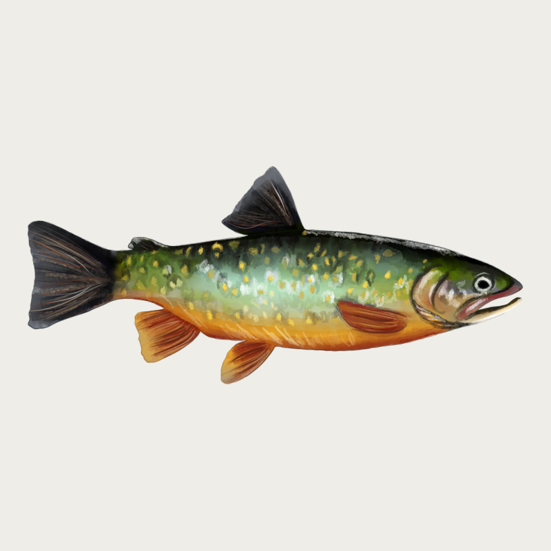 Greenback Cutthroat Trout Fish Zipper Hoodie by RanaPortraitStore | Teevron